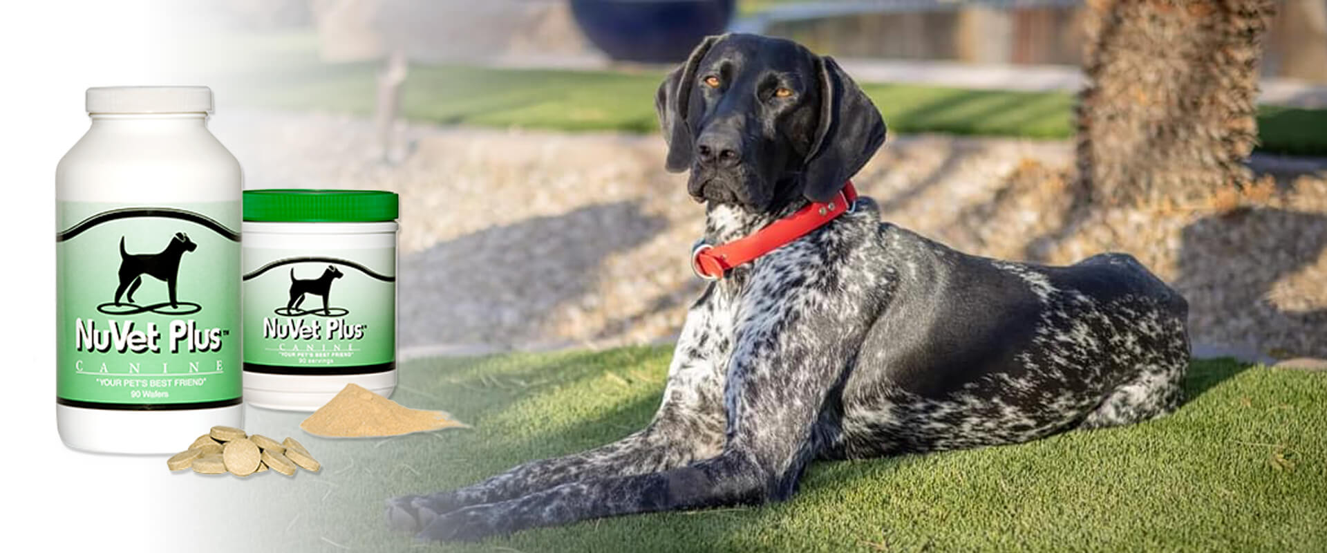NuVet Supplements